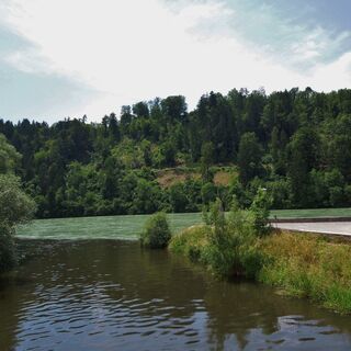 Lavantspitz