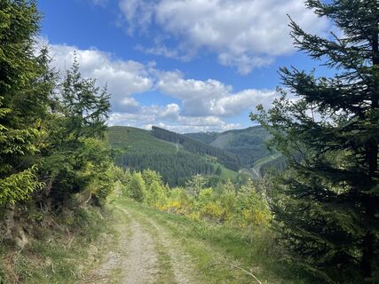 Foto von Olaf Mönig entlang der Tour