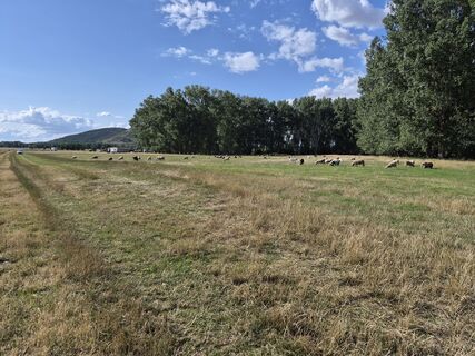 Foto von Wollomator entlang der Tour