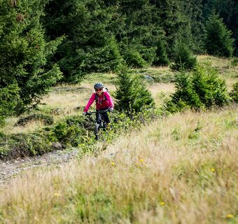 E-Mountainbiketour Piz um Piz im Kreis herum Abfahrt Obersaxen