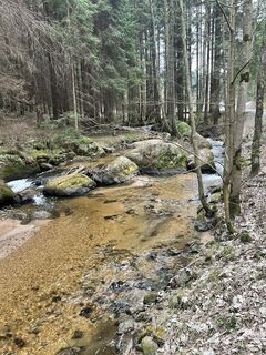 Foto de Gerhard Doberschek a lo largo del recorrido