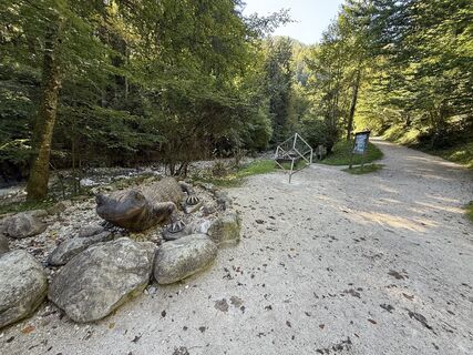 Fotografia z Ronny Decke na trase