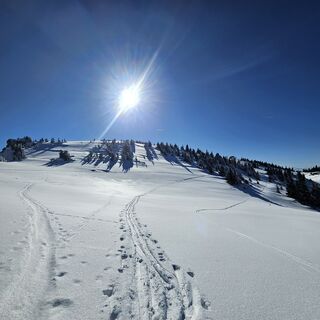 Fotografia z Andreas Raab na trase