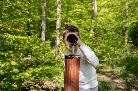 2026-04-25_Niedenstein_Ameisenpfad_Blick_Fernrohr_ccbyStudioLouen_NPH