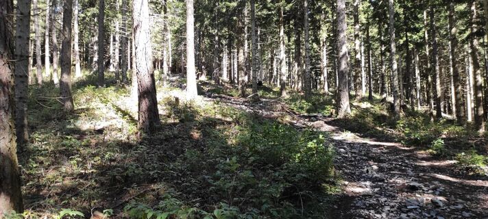Photo de Wolfgang Kleewein le long du parcours