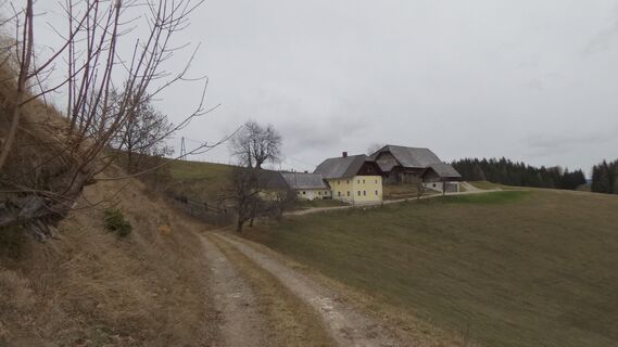 Zeller
