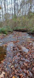 Photo de petra kroes le long du parcours