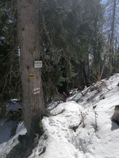 Auf dem Rückweg.