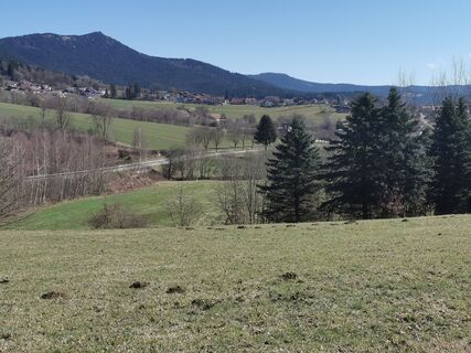 Foto de Waldläufer a lo largo del recorrido