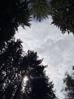Fotografija s spletne strani Mandy Friedrich na poti
