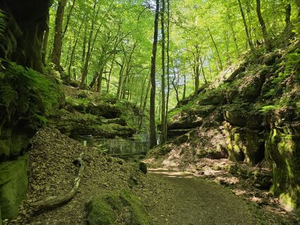 Fotografija s spletne strani Wil van Delft na poti