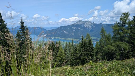 Foto von Klaus Lehner entlang der Tour