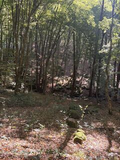 Fotografija s spletne strani Klaudia Ramm na poti