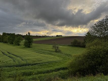 Photo de Schaali le long du parcours