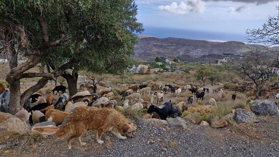 Foto von Sebastian entlang der Tour