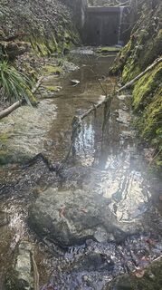 Fotografija s spletne strani Marlyse Leu na poti