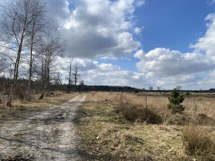 Foto de Roy de Vries a lo largo del recorrido