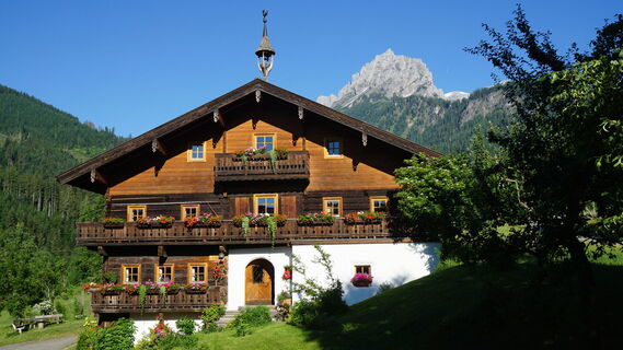 Bauernhof im Gainfeldtal