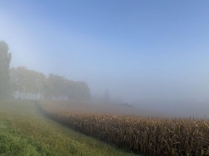 Foto da Ilona Schuster lungo il tour