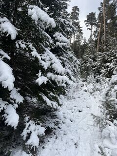 Foto de Monika Weiss a lo largo del recorrido