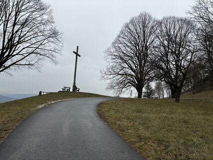 Foto von Wanderelch entlang der Tour