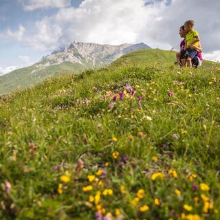 Zu Füßen des Latemar