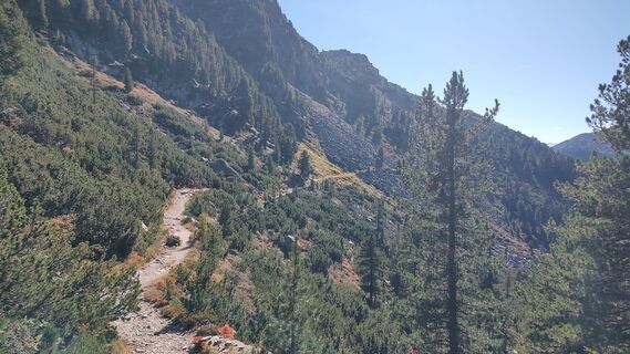 Photo de grassler le long du parcours