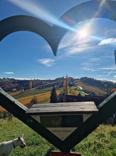 Foto från Michael Kainz 4 under resans gång