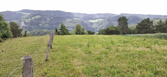Photo de denis.kohler le long du parcours