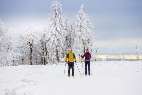 Langläufer-Paar in der Loipe in Willingen