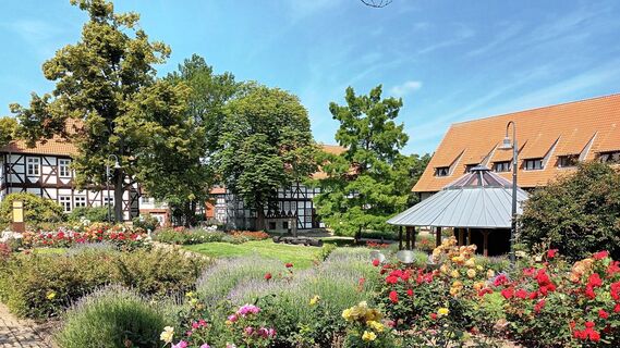 Rosengarten (51)_HD_16zu9.jpg