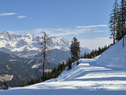 Fotografija s spletne strani Brigitta Madár na poti