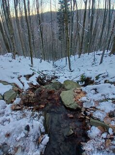 Photo de Daniel Kremiec le long du parcours