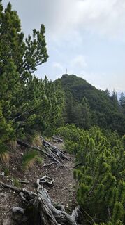 Photo de Christian Thomas le long du parcours