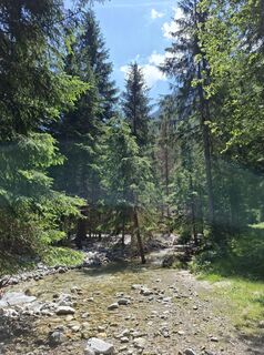Fotografija s spletne strani Magnus Moser na poti