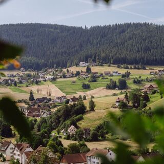 Blick auf die Winterseite in Mitteltal