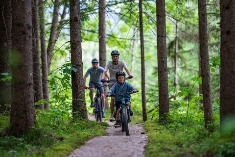 Mountainbiken auf dem Madame Flow Trail