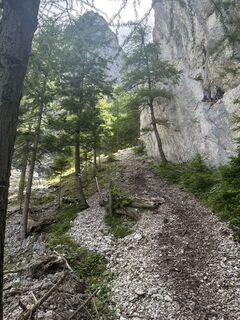 Fotografija s spletne strani Emma Valekova na poti