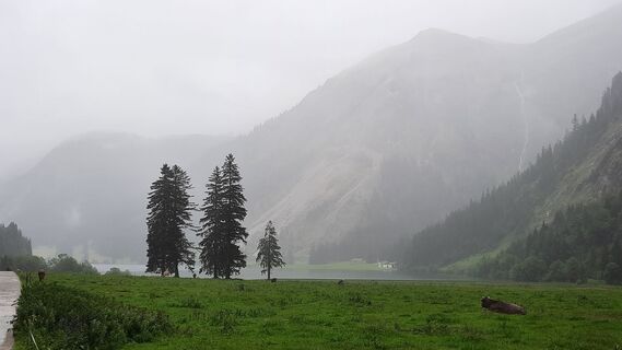 Fotografia z Heidi Schmid na trase