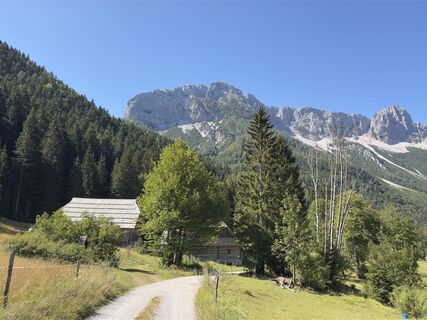 Foto von Yojo entlang der Tour