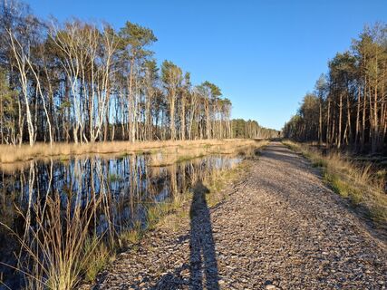 Photo de nordbergschnecke le long du parcours