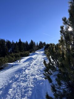 Foto von Martin Meusburger entlang der Tour