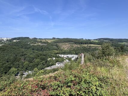 Fotografie z Momo na trase