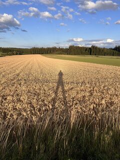 Photo de Geologie le long du parcours