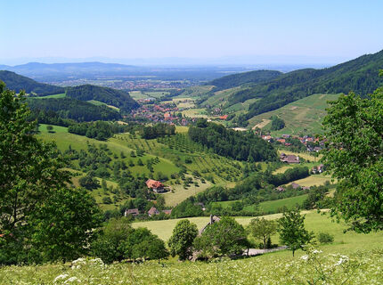 Blick über das Glottertal