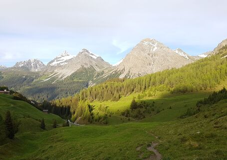 Saftige Wiesen entlang der Plessur