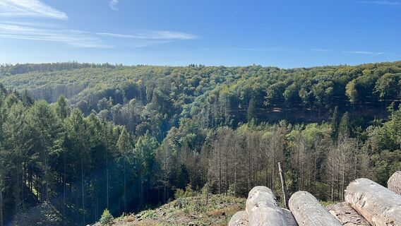 Zdjęcie z Olaf Sillmann wzdłuż trasy