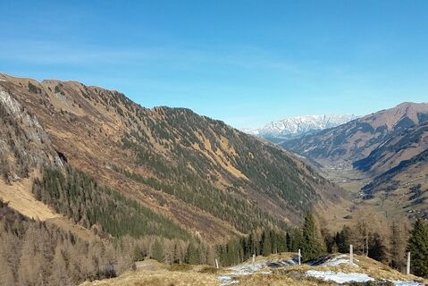 Ausblick Feldereralm