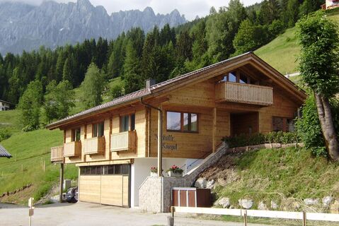 Ferienhaus "Almhütte Kniegut"