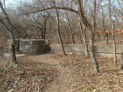 Fotografia z Attila Tóth na trase